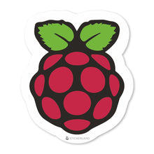 Load image into Gallery viewer, Stickerland India Rasberry Pi Sticker 5.5x6.5 CM (Pack of 1)