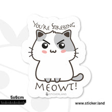 Load image into Gallery viewer, Stickerland India  You&#39;Re Stressing Me Out Sticker 5x6 CM (Pack of 1)