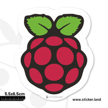 Load image into Gallery viewer, Stickerland India Rasberry Pi Sticker 5.5x6.5 CM (Pack of 1)
