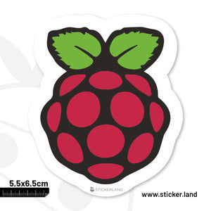 Stickerland India Rasberry Pi Sticker 5.5x6.5 CM (Pack of 1)